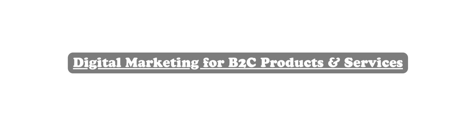 Digital Marketing for B2C Products Services
